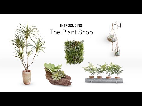 The Pottery Barn