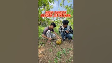 Aduh Haus Banget Pengen Minum Air Kelapa !