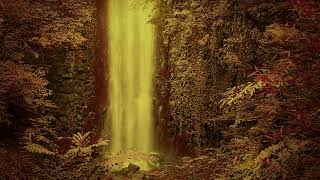 Soft Ambient Piano Music with DREAMSCAPIST "Mystical Movements/First Movement"  2020 screenshot 5