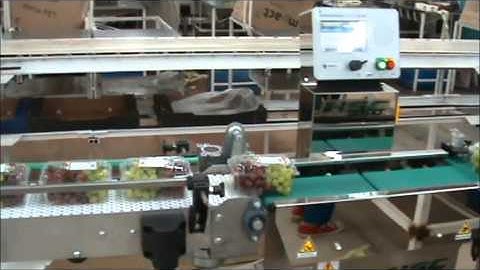 Checkweigher with sorting system Serie Z  - Grapes punnets