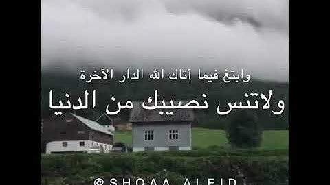 سورة القصص - عبدالولي الأركاني 🍃💙