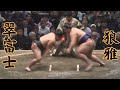 翠富士VS狼雅 令和8年1月場所8日目（中日・天覧相撲） #sumo #相撲