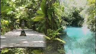 This HIDDEN Sanctuary is Helping Visitors Reconnect With Nature in Redland | NBC 6 South Florida