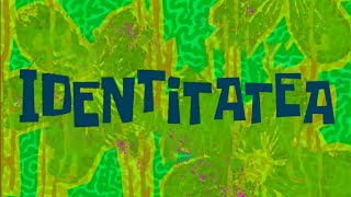 Missing Identity Title card (Romanian, Fanmade)