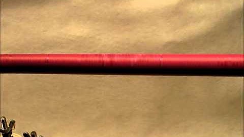 Tiger Tricks Underwrap.wmv