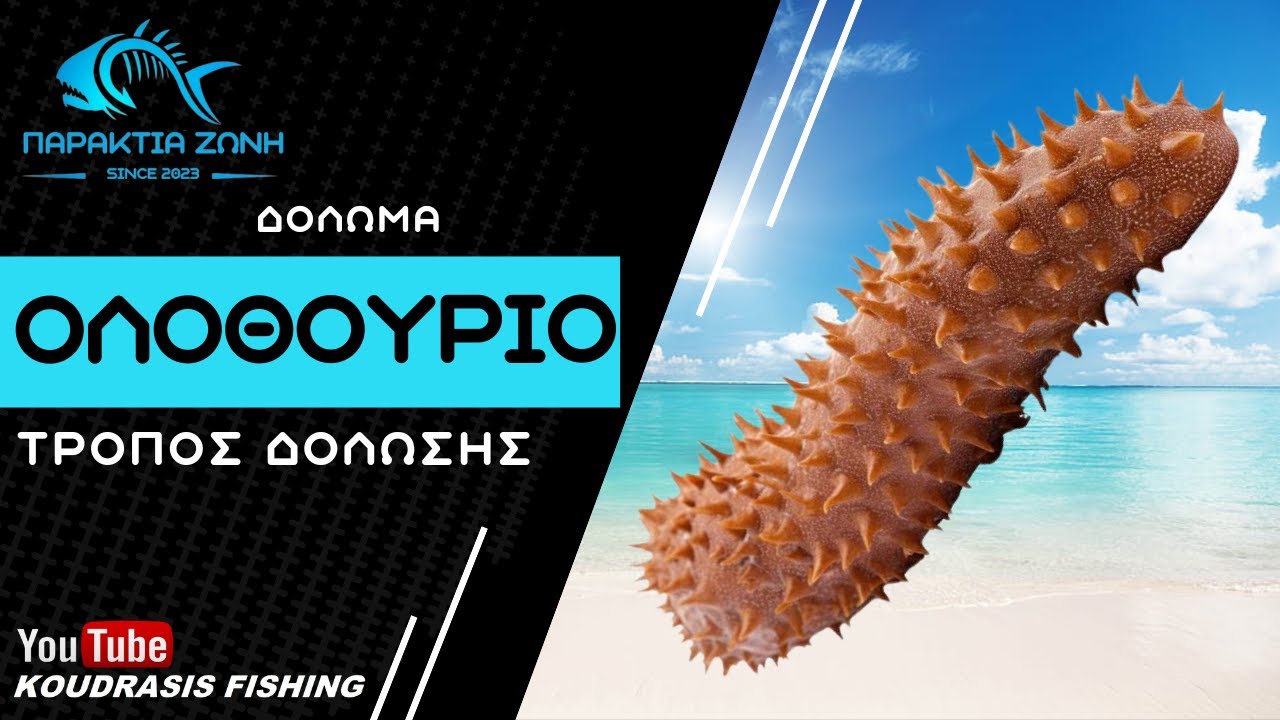 ПРИМАНКА МОРСКОЙ ОГУРЕЦ