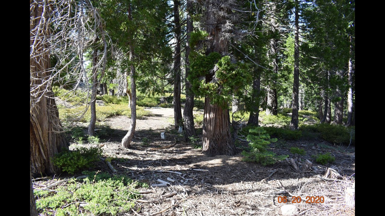 The Howland Flat Protestant Cemetery, Sierra County, California. YouTube