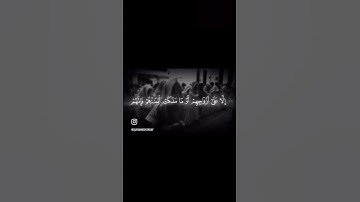 قد أفلح المؤمنون - سورة المؤمنون - محمد اللحيدان