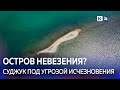 На острове Суджук в Новороссийске начался мор чаек