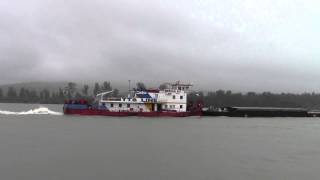 Towboat MERCUR 307 Danube River , Serbia , 2012.sept.20