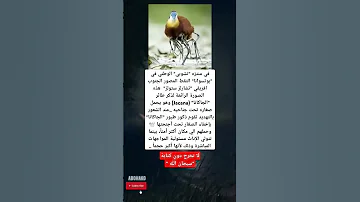 في منتزه تشوبي الوطني في بوتسوانا التقط المصور الجنوب افريقي تشارلز ستولز هذه 