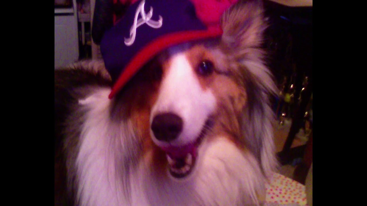 (free for profit) wifiskeleton x alex g type beat