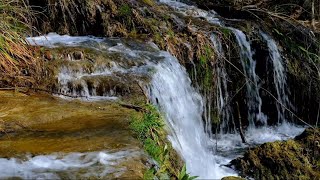 Cascading Harmony: Serene Waterfall Retreat