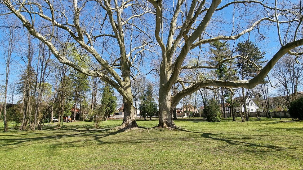 Pöchlarn, Lower Austria |@mahaljorie123