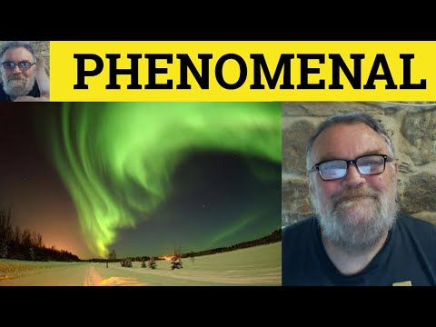 Video: Phenomena - what is this phenomenon? Phenomenon types
