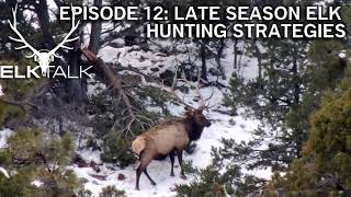 Late Season Elk Hunting Strategies - Elk Talk Podcast (Episode 12)