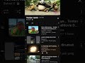 kung fu panda intro polish
