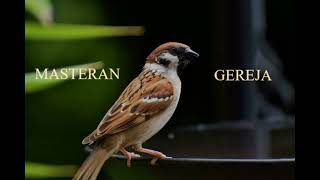 Download Lagu MASTERAN GEREJA JERNIH JEDA 2 MENIT MP3