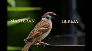 MASTERAN GEREJA JERNIH JEDA 2 MENIT