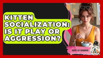 Kitten Socialization: Is It Play Or Aggression? - Happy Cat Handbook