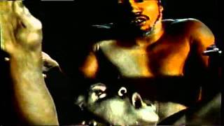 Busta Rhymes Featuring ODB - Woo-HaH! I Got You All In Check   - YouTube.flv