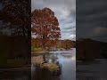 New Braunfels, Texas - Landa Park Fall Colors