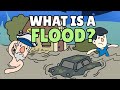 What is a Flood? | Causes of Flood | Effects of Flood