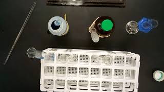 Le Chatelier's Guided Inquiry Lab