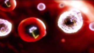 Metabolism of METHOTREXATE - medical animation