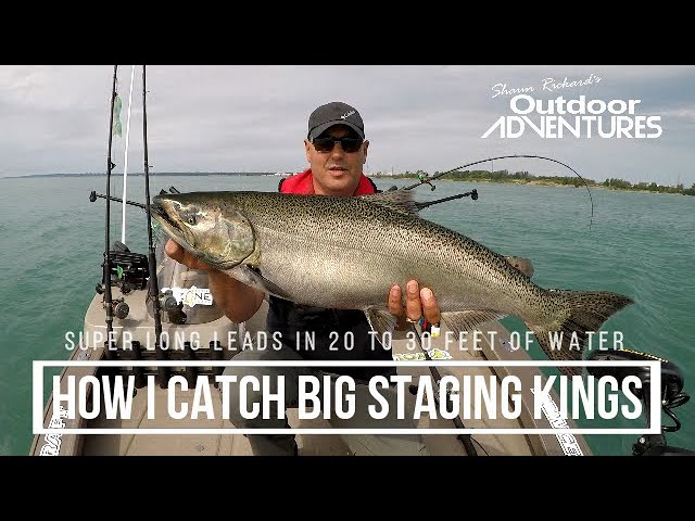 How I catch big staging Salmon, fishing solo on Lake Ontario. Long leaders  in shallow water 