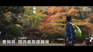 【癒し×日本美しの森】　（くらがり渓谷）もみじ狩りに出かけよう！　Japan's Forests with Breathtaking Views