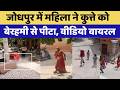 Jodhpur Dog Abuse Case: जोधपुर में महिला ने कुत्ते को बेरहमी से पीटा, वीडियो वायरल। Top News। Latest