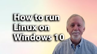 Celebrity Ready to run Linux on Windows 10? Here’s how Wealth