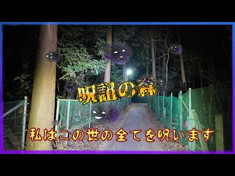 千葉県心霊スポット『呪詛の森』