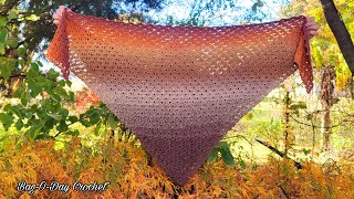 This QUICK and EASY Crochet Shawl Is Only A TWO Row Repeat / 