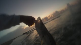 Celebrity Snook fishing from the beach!!!! When and where you can catch big snook Net Worth