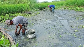 Fishing🐠✅Video🐠 || বিদেশ থেকে এসে মাছ মারতে আসলাম দুই ভাই || #মাছের_ভিডিও #মাছ