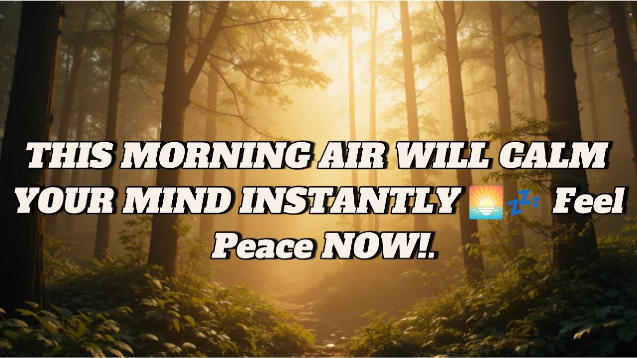 Dawn Quietude with Morning Air