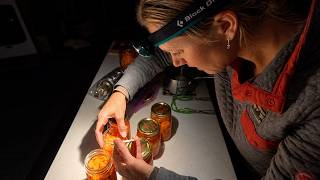 Off Grid ALASKA Canning & Rustic Cabin Furniture | Ep  69