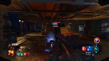 They never patched this round skip glitch on Moon...(BO3)