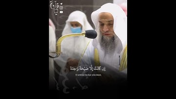 ﴿قالوا يا وَيلَنا مَن بَعَثَنا مِن مَرقَدِنا﴾ ماتيسر من سورة يس ٓ للشيخ فيصل غزاوي 🤍..