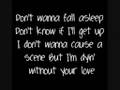 Jonas Brothers - Cant Have You lyrics