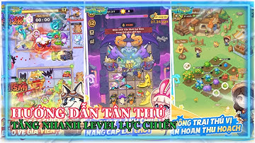 Chiến Tuyến Hướng Dương Hướng dẫn tân thủ cách chơi chuẩn và cách tăng lực chiến nhanh