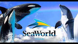 Парк развлечений Sea World Орландо / Шоу дельфинов killer whale  / Водные американские горки