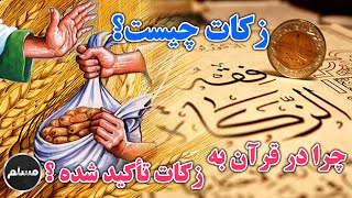 Muslim | ? زکات چیست؟ و چرا در قرآن بیشتر به زکات تأکید شده