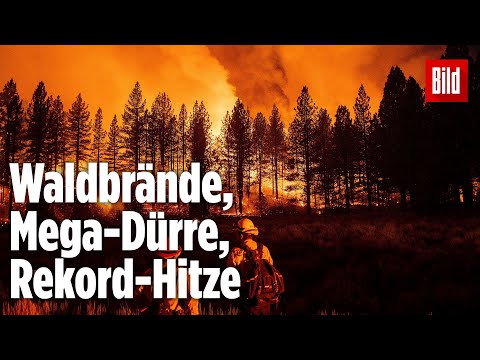 Hitzewelle mit über