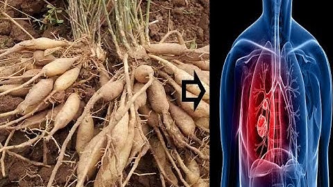 Tshuaj ntsuab zoo mob ntsws 2 tus tshuaj ntsuab sib tim  - Tshuaj cawm seej TV