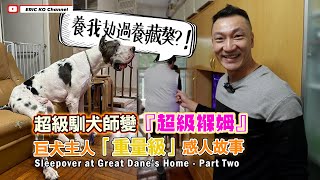 超級馴犬師變 「超級保姆」 巨犬主人 「重量級 」 感人故事 Sleepover at Great Dane's Home - Part Two