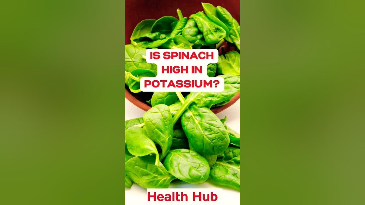 Is Spinach High In Potassium? (I Was Wrong) YouTube