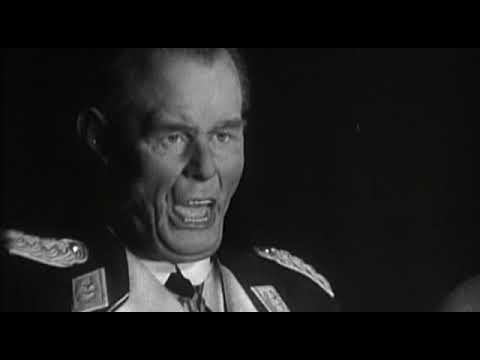 Das Goebbels-Experiment 22